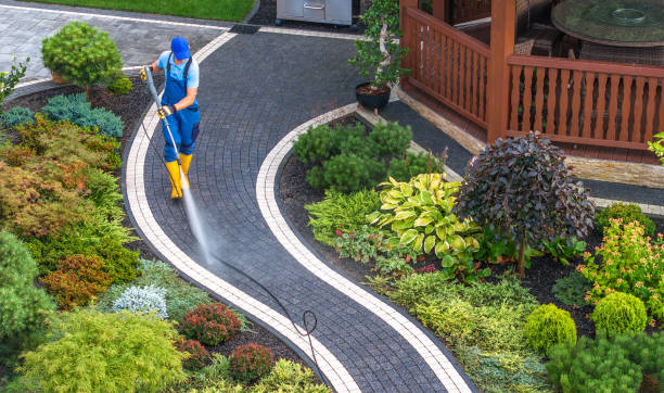 Best Roof Pressure Washing  in Harrison, NY